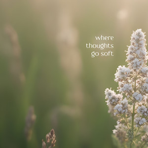 Where Thoughts Go Soft - Rain Version by Eliqua