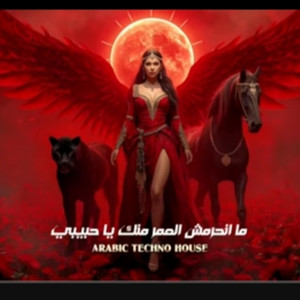مانحرمش العمر منك يا حبيبي by NVX OFFICIAL