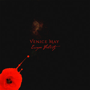 Escape Felicity by Venice May