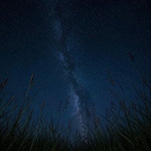 Into The Dark by Cloud Harbor