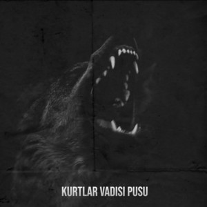 Kurtlar Vadisi Pusu