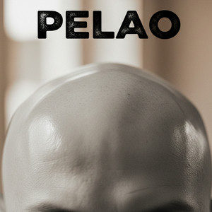 Pelao by Zaysev