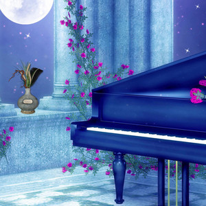 Lovely Night by Music of Wisdom