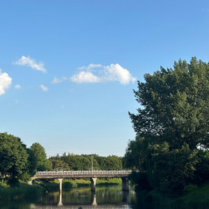 the path i walk everyday by sei
