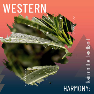 Western Harmony: Rain on the Headland album