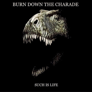 Burn Down the Charade artist photo