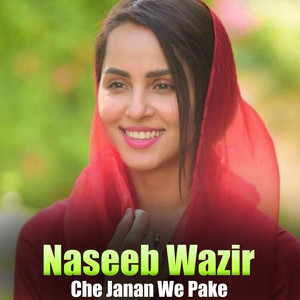 Naseeb Wazir - Ziba Gul Ye Bachai