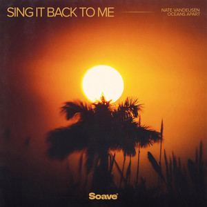 Nate VanDeusen — Sing It Back to Me (2026)