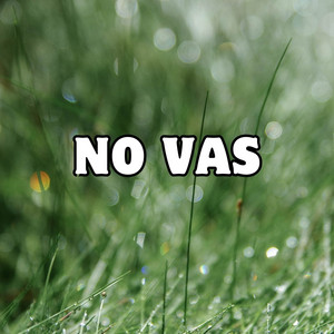 no vas by manuel barajas