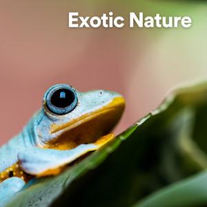Exotic Nature album
