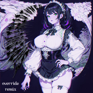 superultra2dtunes — Override (Remix)