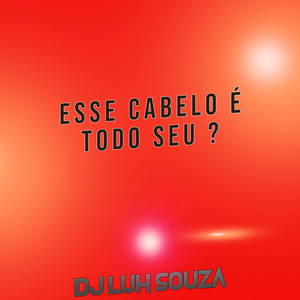 Dj Luh Souza - Esse Cabelo É Todo Seu ?