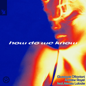 How Do We Know cover art