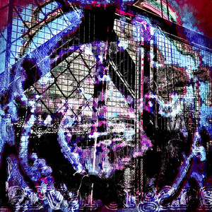 Low + Wet by Larval Organs