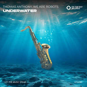 Underwater by Thomas Anthony, We Are Robots