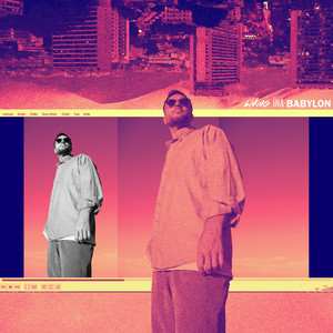 Living Ina Babylon by Baltimores