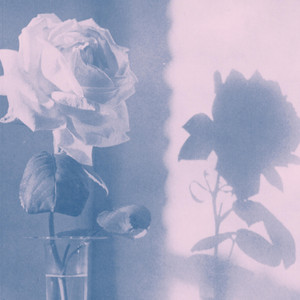 Weight of the World by White Poppy