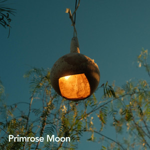 Tender Rain by Primrose Moon