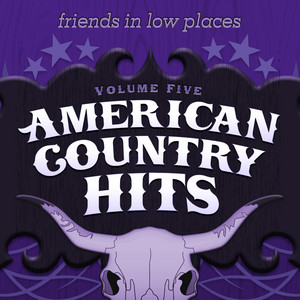 American Country Hits - Friends In Low Places