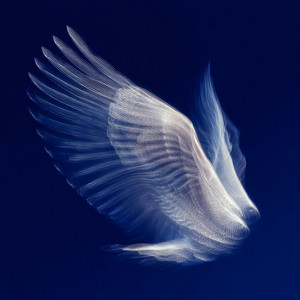 We See by marAna