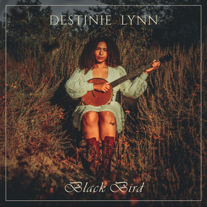 Black Bird by Destinie Lynn