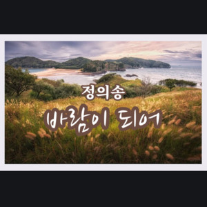 정의송 - 바람이 되어