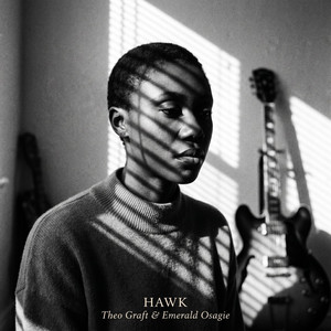 Hawk by Theo Graft, Emerald Osagie