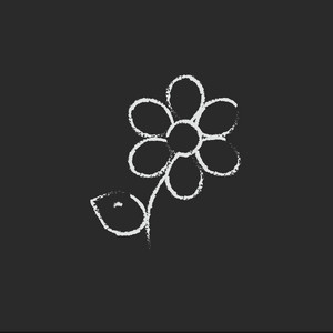 Daisies