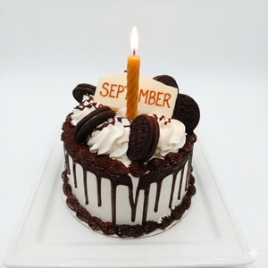 September Birthday by LyricsbyEva