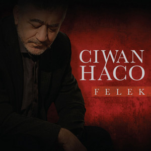 Şifa Gerdî by Ciwan Haco