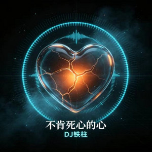 不肯死心的心 - 微醺版 by DJ铁柱