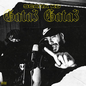 Scara Ko - Gata3 Gata3
