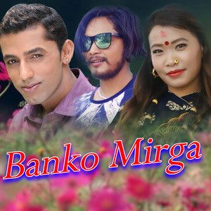 Banko Mirga