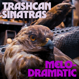 Trashcan Sinatras | Spotify