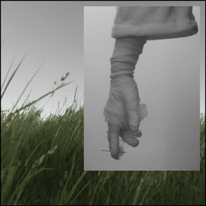 Tore out My Cords to Harmonize by wooden lamb