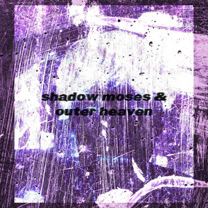 Vellocet - shadow moses