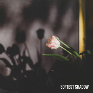 Softest Shadow by Ludwig Bern