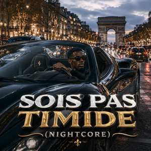 Sois Pas Timide (Nightcore)