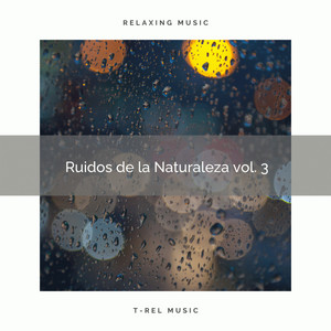 1 Ruidos de la Naturaleza vol. 3 album