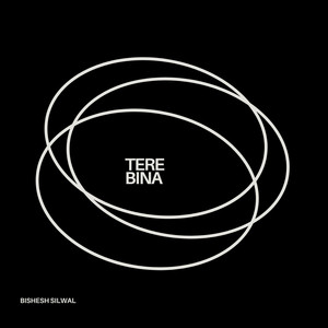Tere Bina