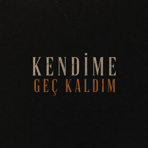 Kendime geç kaldım by Sefa Erçetin