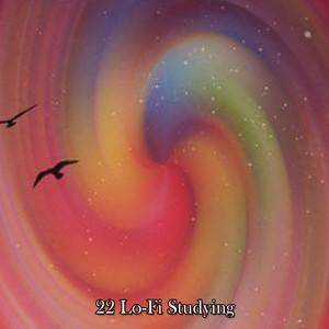 22 Lo-Fi Studying album