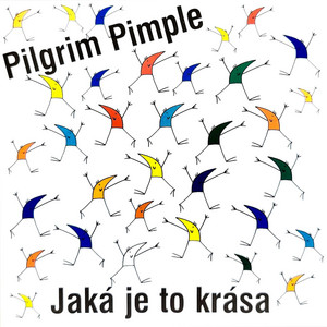 Jaká je to krása cover