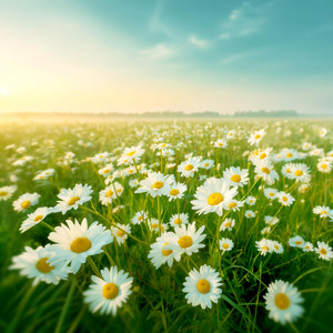 Serene Station - April Daydream