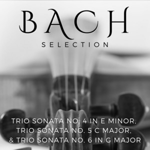 Bach Selection: Trio Sonata No. 4 In E Minor, Trio Sonata No. 5 C Major, & Trio Sonata No. 6 In G Major