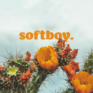 softboy. - Beats Me