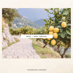 Make Lemonade by ekboj