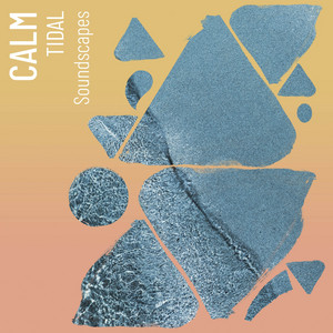 zZz Calm Tidal Soundscapes zZz album