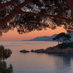 Where the Light Rests by Mireth