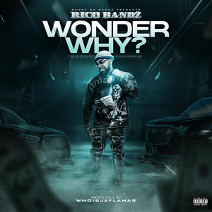 Portada de Wonder Why?